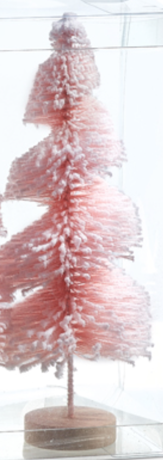 Pink Snowy Bottle Brush Tree