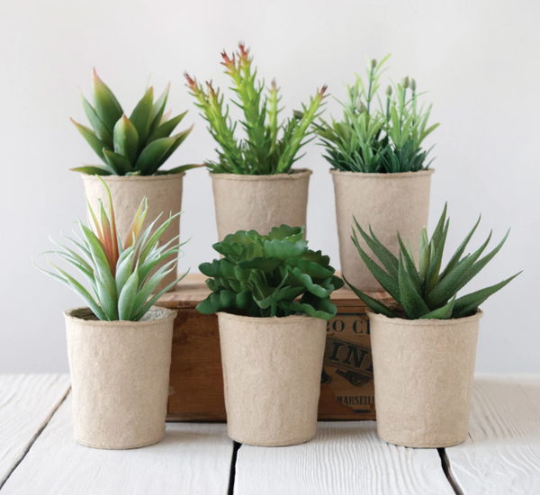 Faux Succulent in Paper Pot