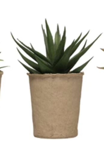 Faux Succulent in Paper Pot