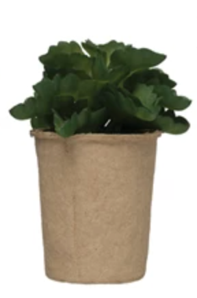 Faux Succulent in Paper Pot