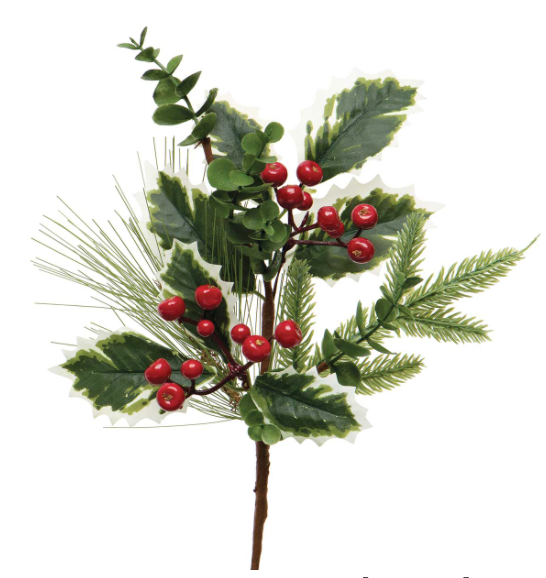 Variegated Holly Pick