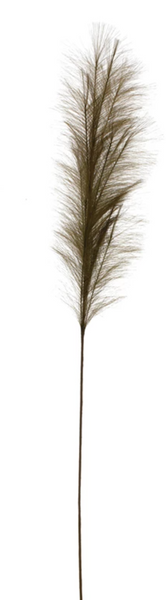 Faux Pampas Grass Plume
