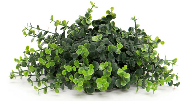Dark Green Boxwood Ball Dome