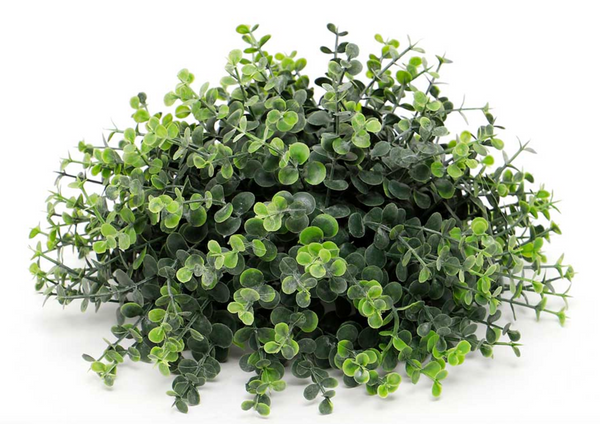 Dark Green Boxwood Ball Dome