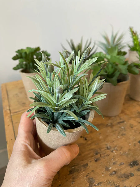 Faux Succulent in Paper Pot