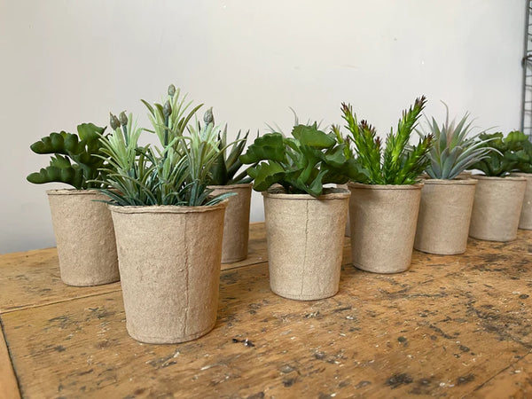 Faux Succulent in Paper Pot