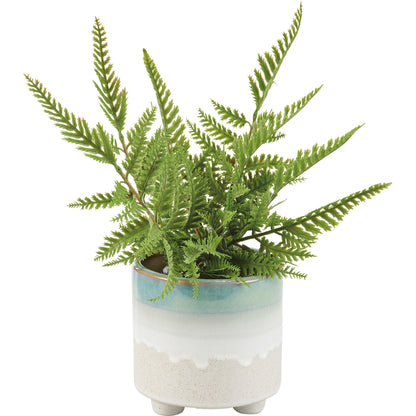 ombre planter