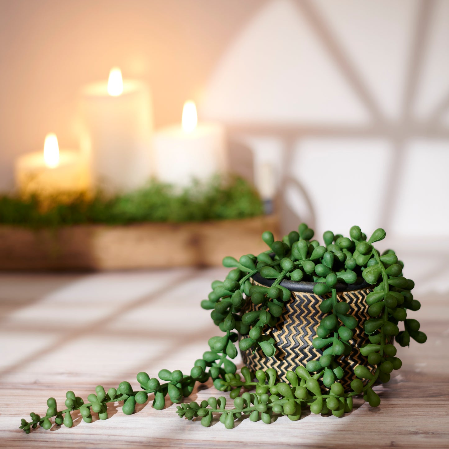 String of Pearls Planter