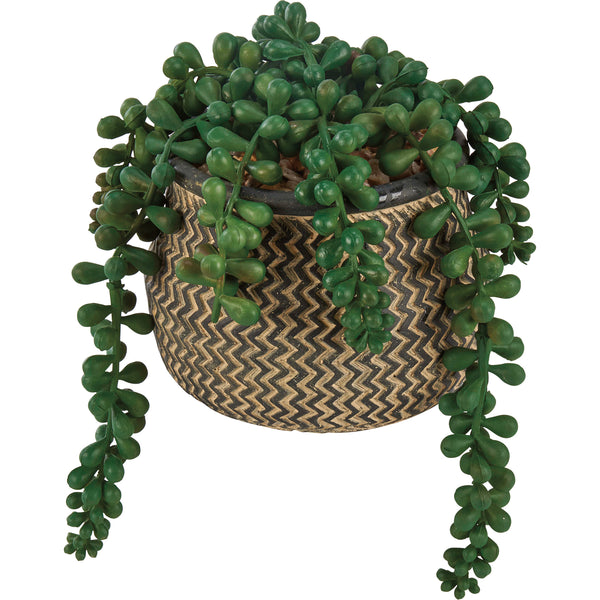 String of Pearls Planter