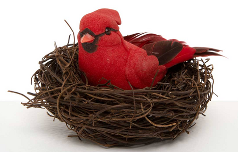 Cardinal in Nest