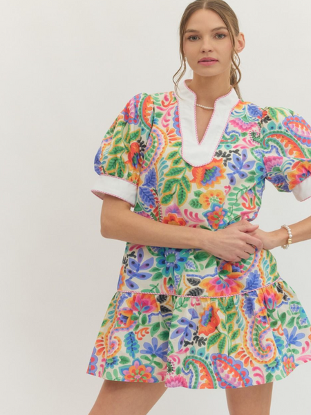 Sophie Printed Mini Dress