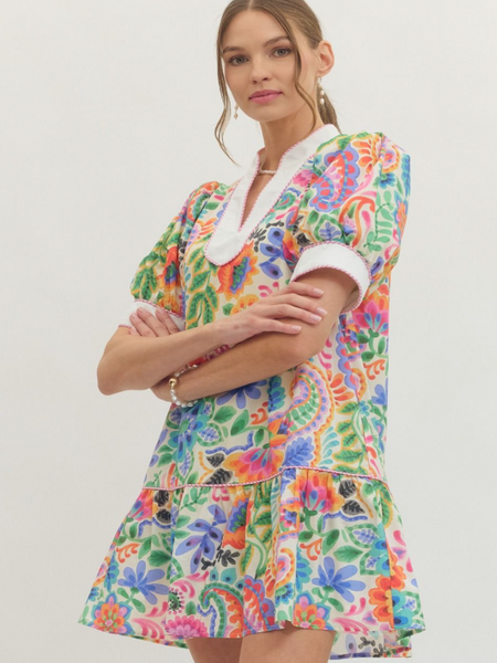 Sophie Printed Mini Dress