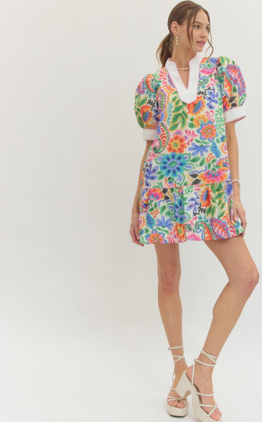 Sophie Printed Mini Dress