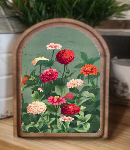 Zinnia Framed Art