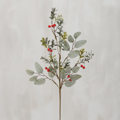 Eucalyptus & Berries Pick