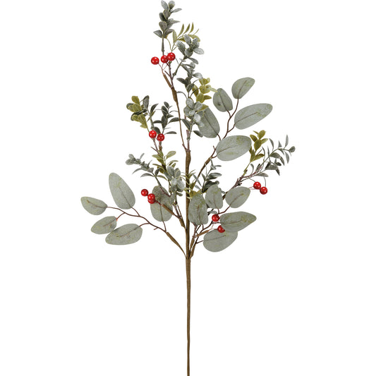 Eucalyptus & Berries Pick