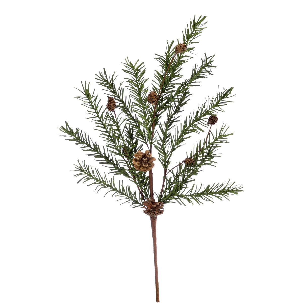 Small Pine with Pinecone