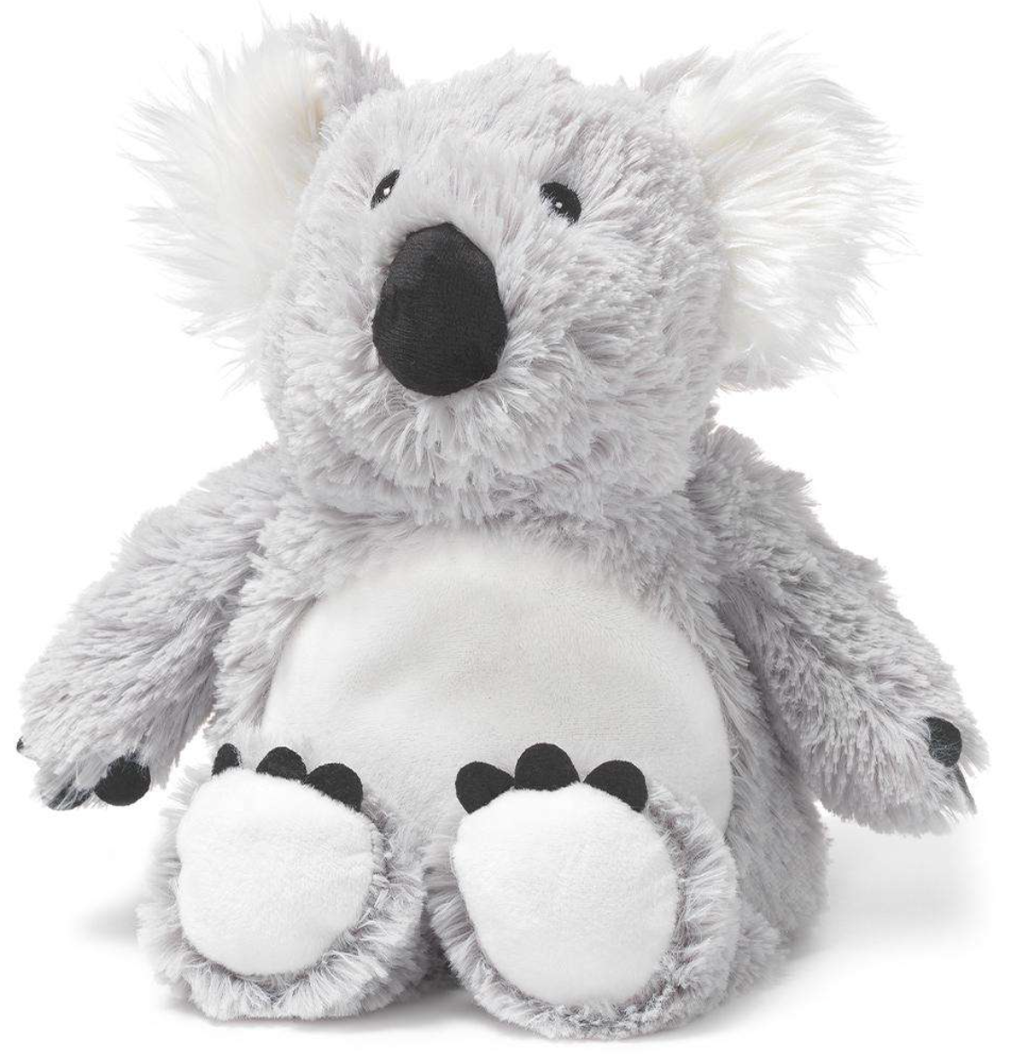 koala warmie