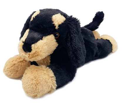 dachsund warmie