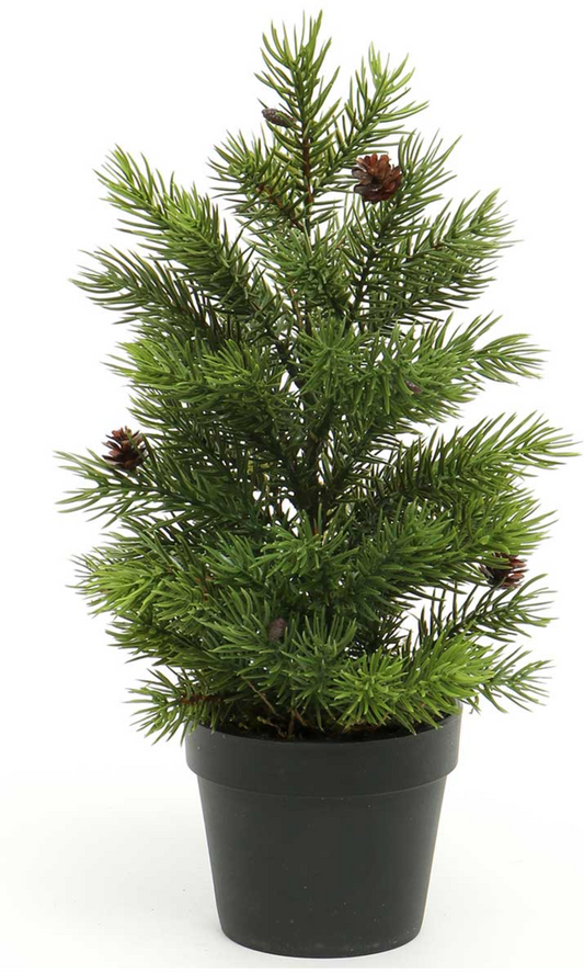 Spruce Tree with Pinecones