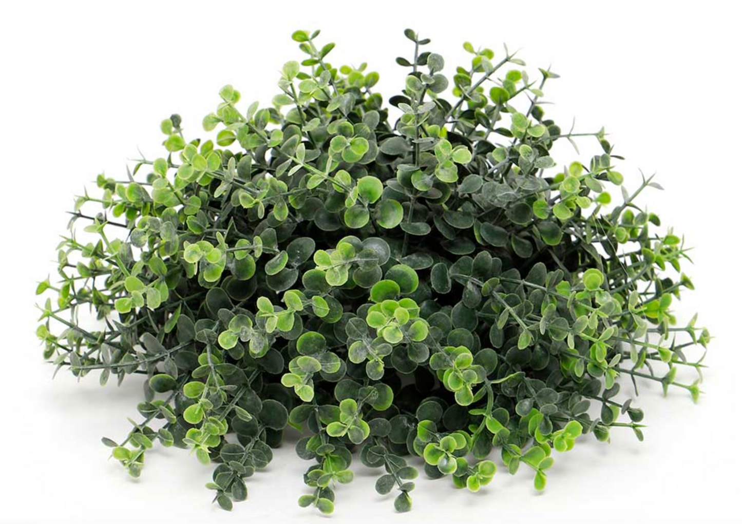 Dark Green Boxwood Ball Dome