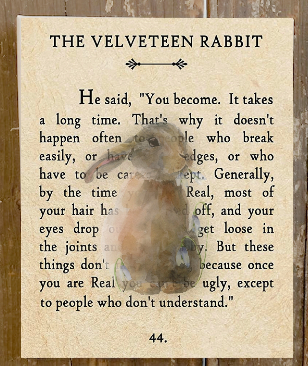 Velveteen Rabbit Storybook Page Canvas Print
