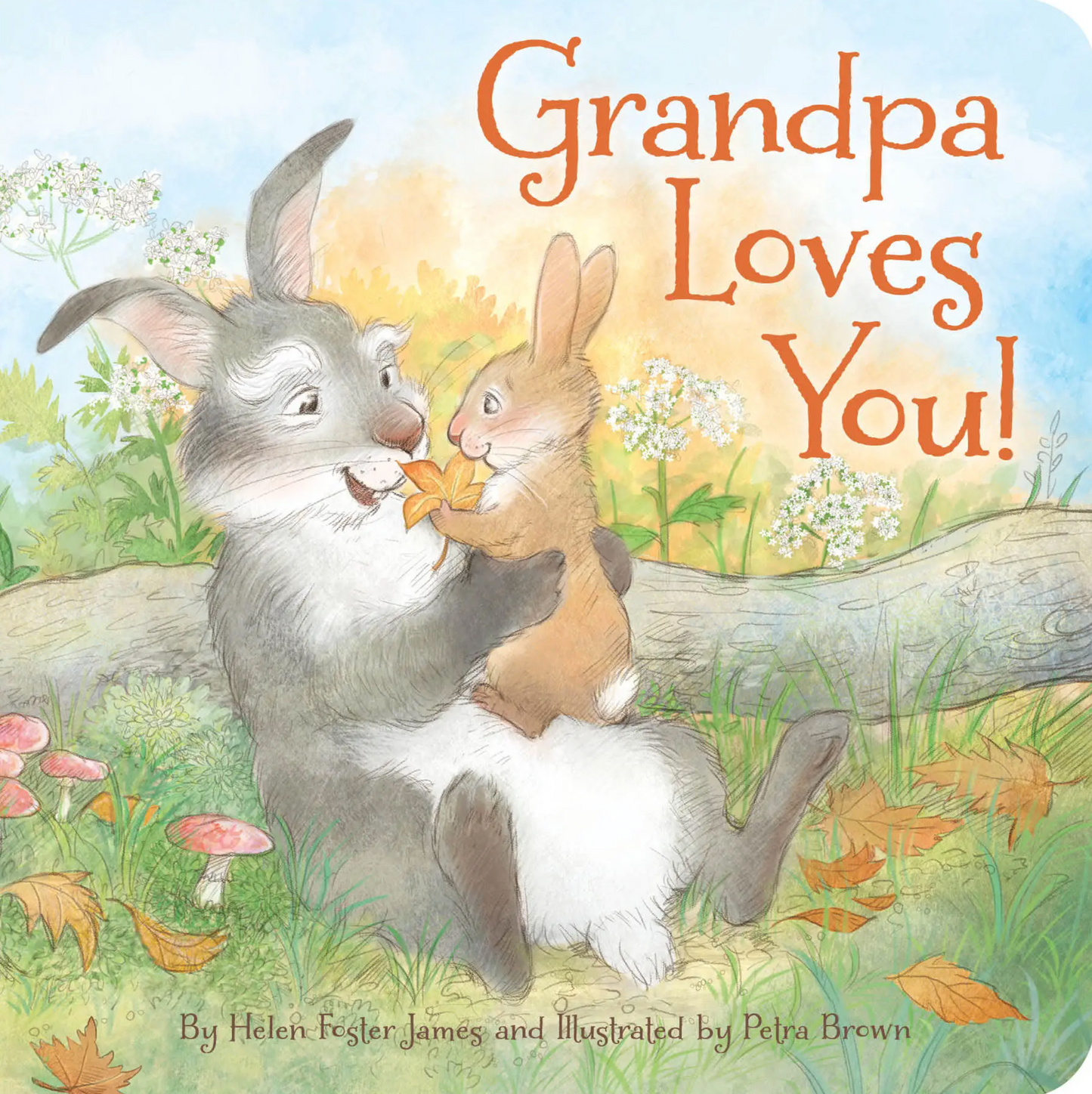 Board Books