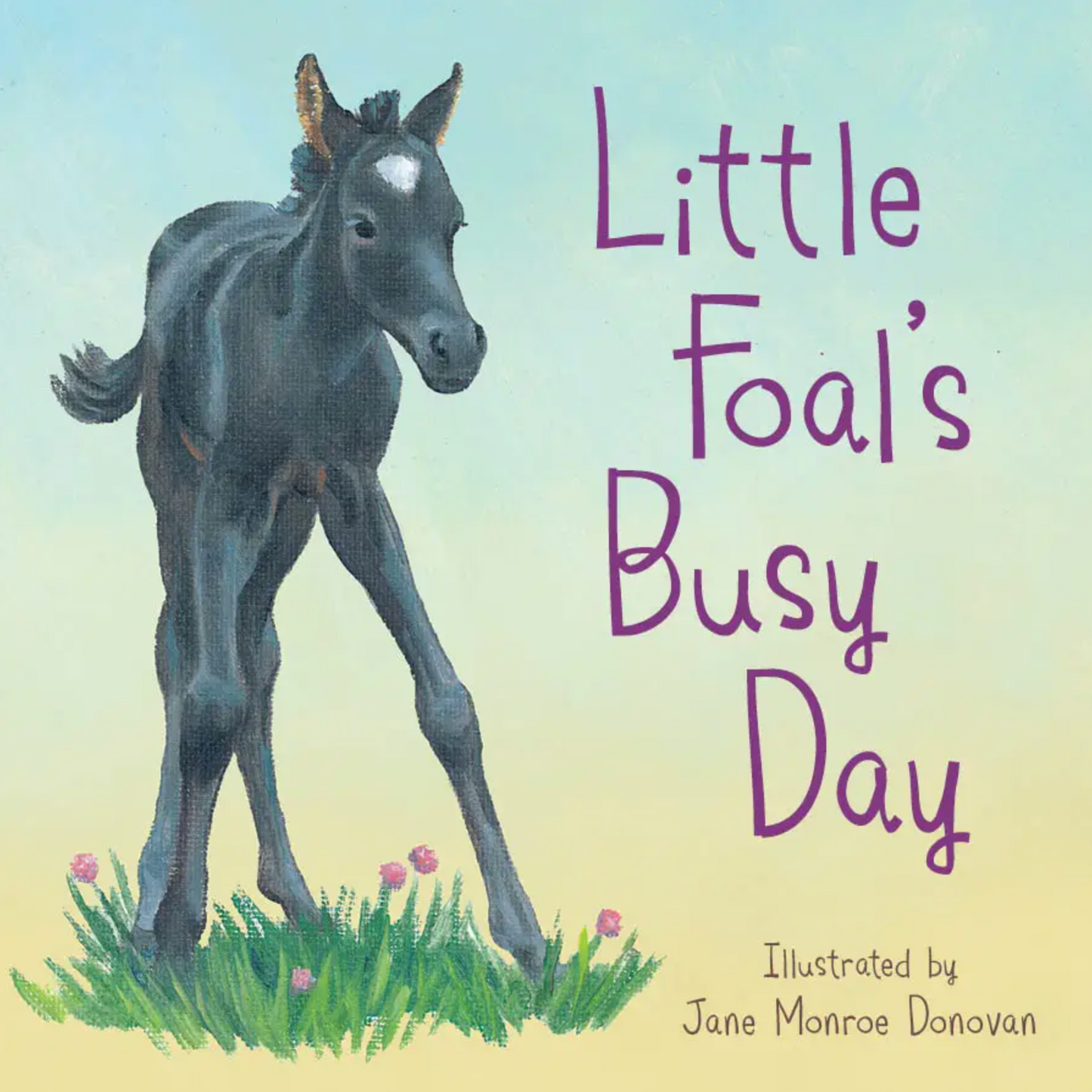 Board Books