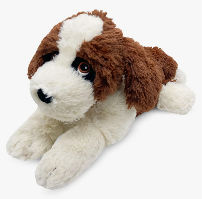 st bernard warmie