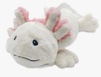 axolotl warmie