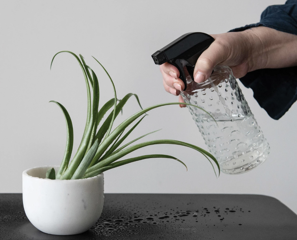 Embossed Glass Spray Bottle