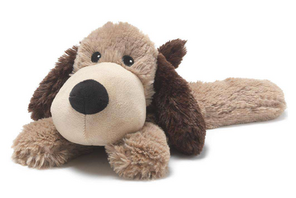 brown dog warmie