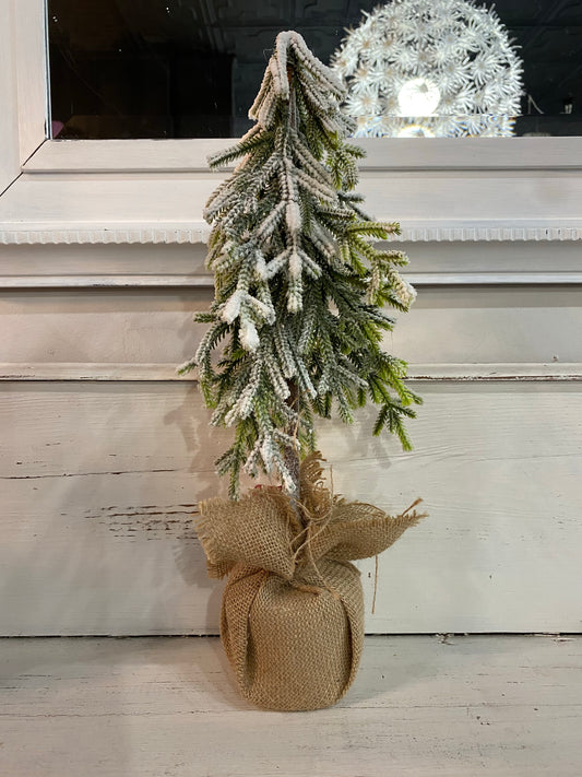 Small Tree w/Snow